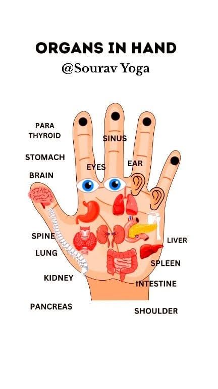 Pressure Therapy Treatment at AcuHealth – Natural pain relief and wellness. (types of acupressure points)