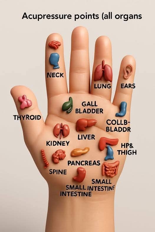 Pressure Therapy Treatment at AcuHealth – Natural pain relief and wellness. (acupressure therapy)